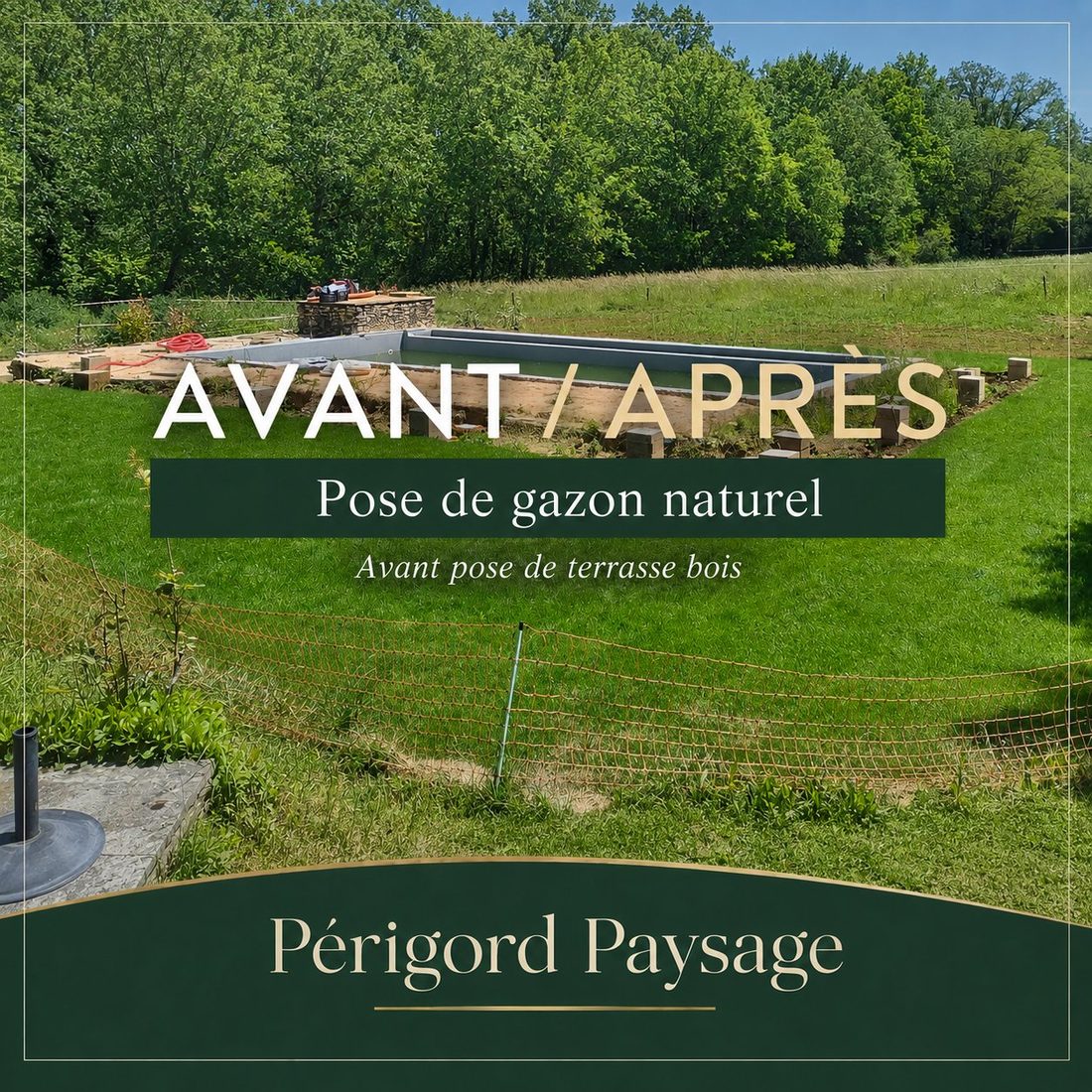 Arroser son jardin en été : les bons réflexes